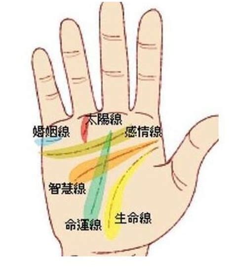 手相雜亂|手相:相形,相關起源,左右手,三大紋路,十字紋,星紋,島紋…